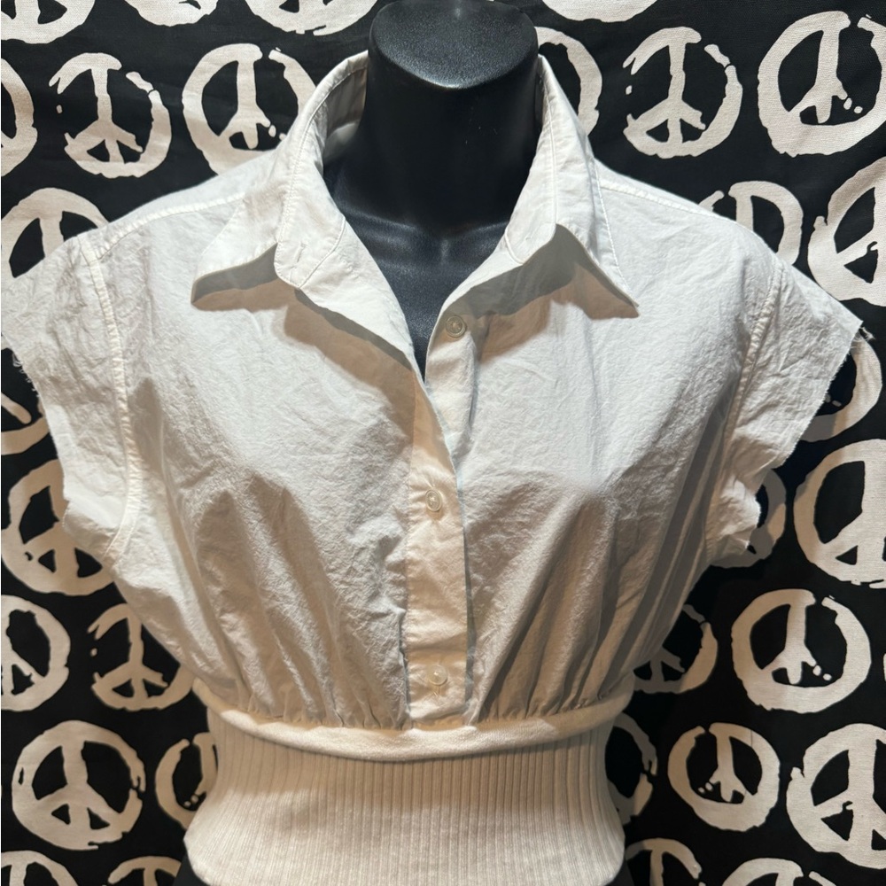 Alexander wang button up